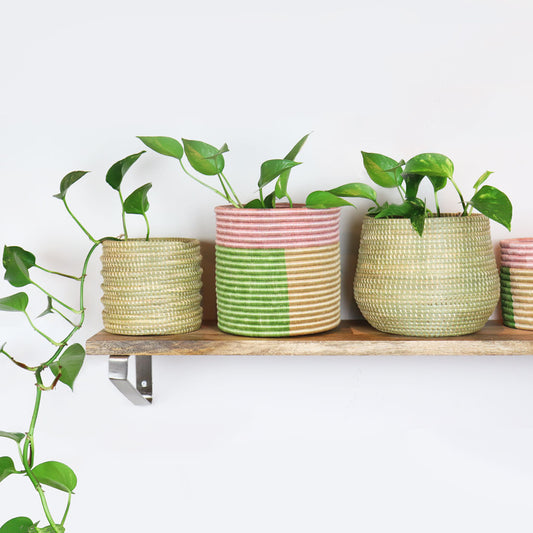 Pink and Green Baskets Handwoven Planter Baskets | Set of three decorative woven baskets | Succulent Planters
