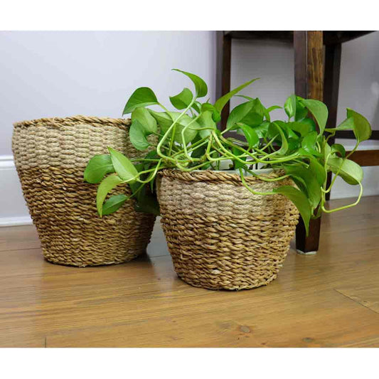 Seagrass Planter - Prince & Pom