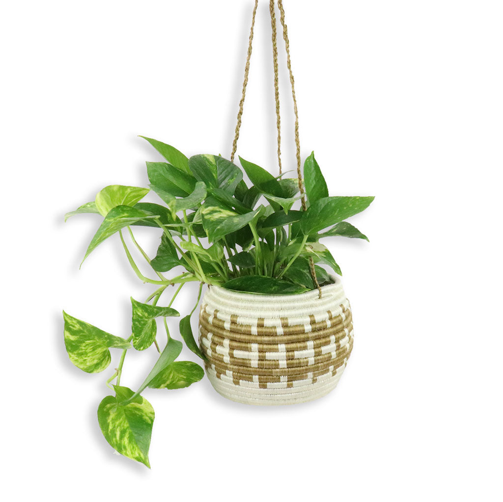 Baskets | Storage & Planters