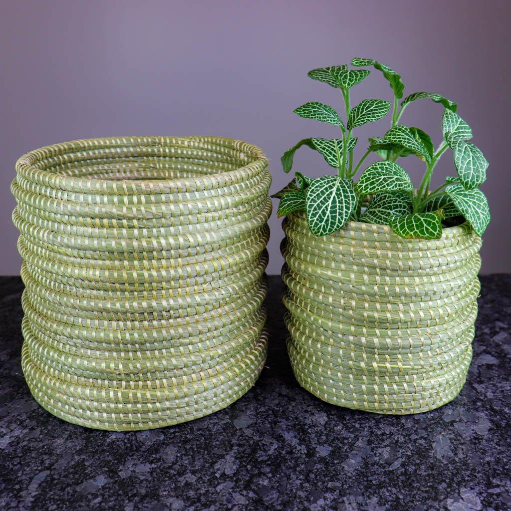Sweetgrass Basket Planters 