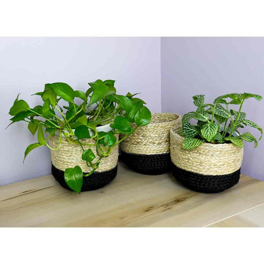 Jute Baskets KORISSA Decorative Baskets.