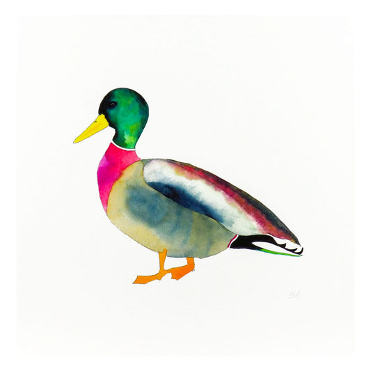Mallard | Duck Art Prints | Minimalist Wall Art | Unique Bird Decorative Wall Decor | 12x12 or 11x14 | Snoogs & Wilde