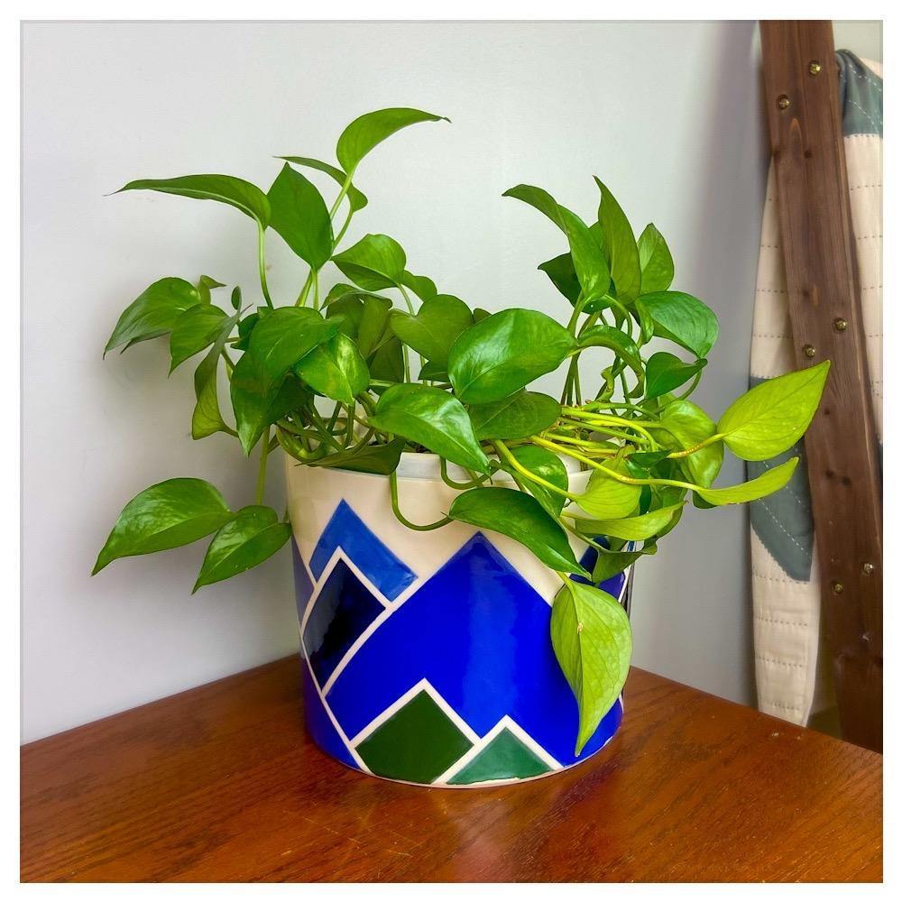 hand painted indoor plant pots Decorative Planters | Ceramic Pot | Blue Mountain