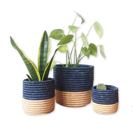 Navy Blue Baskets - Prince & Pom