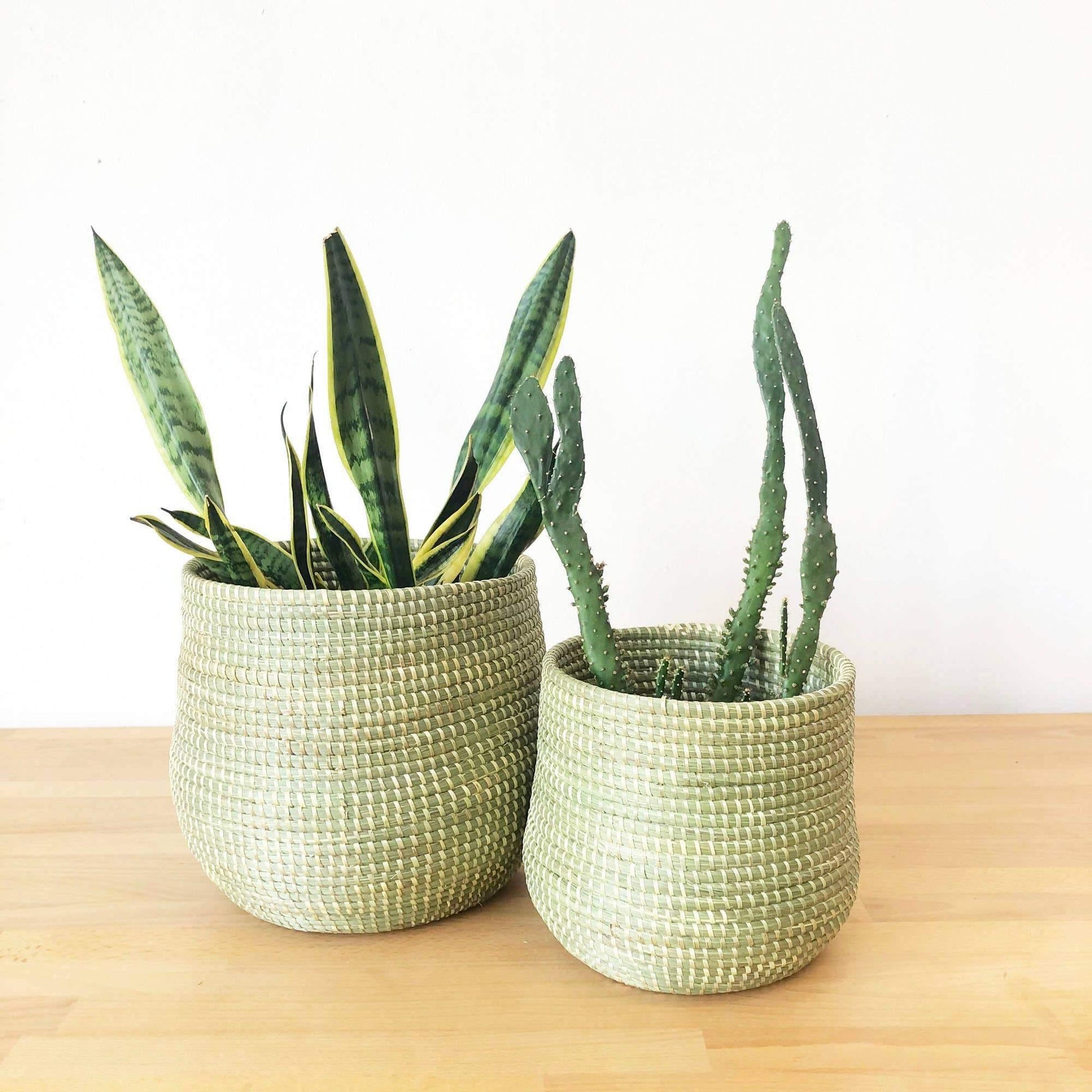 basket indoor planter Decorative Baskets | Planter Basket | Green Sweetgrass