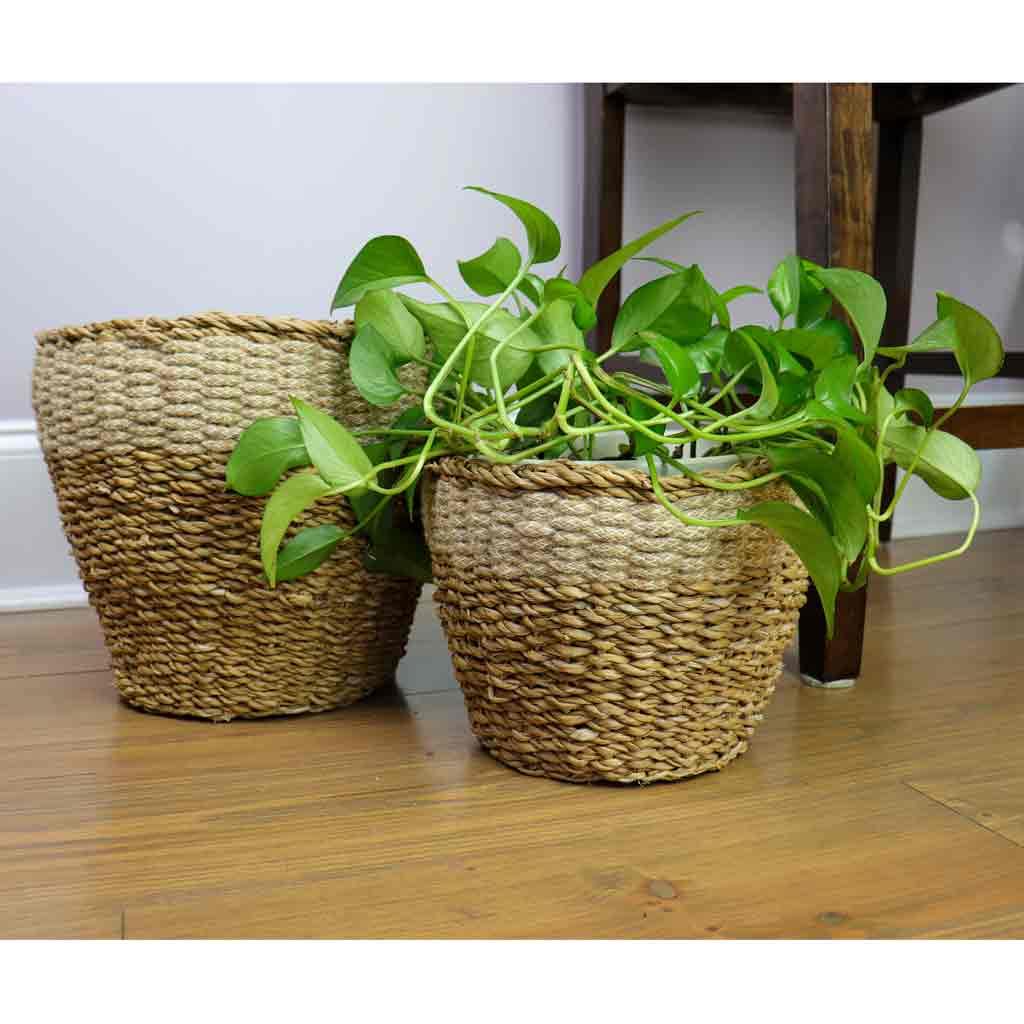 baskets for plant pots Decorative Baskets | Storage & Planter Basket | Seagrass