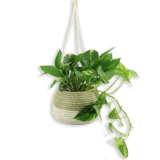 Sweetgrass Hanging Planter - Prince & Pom