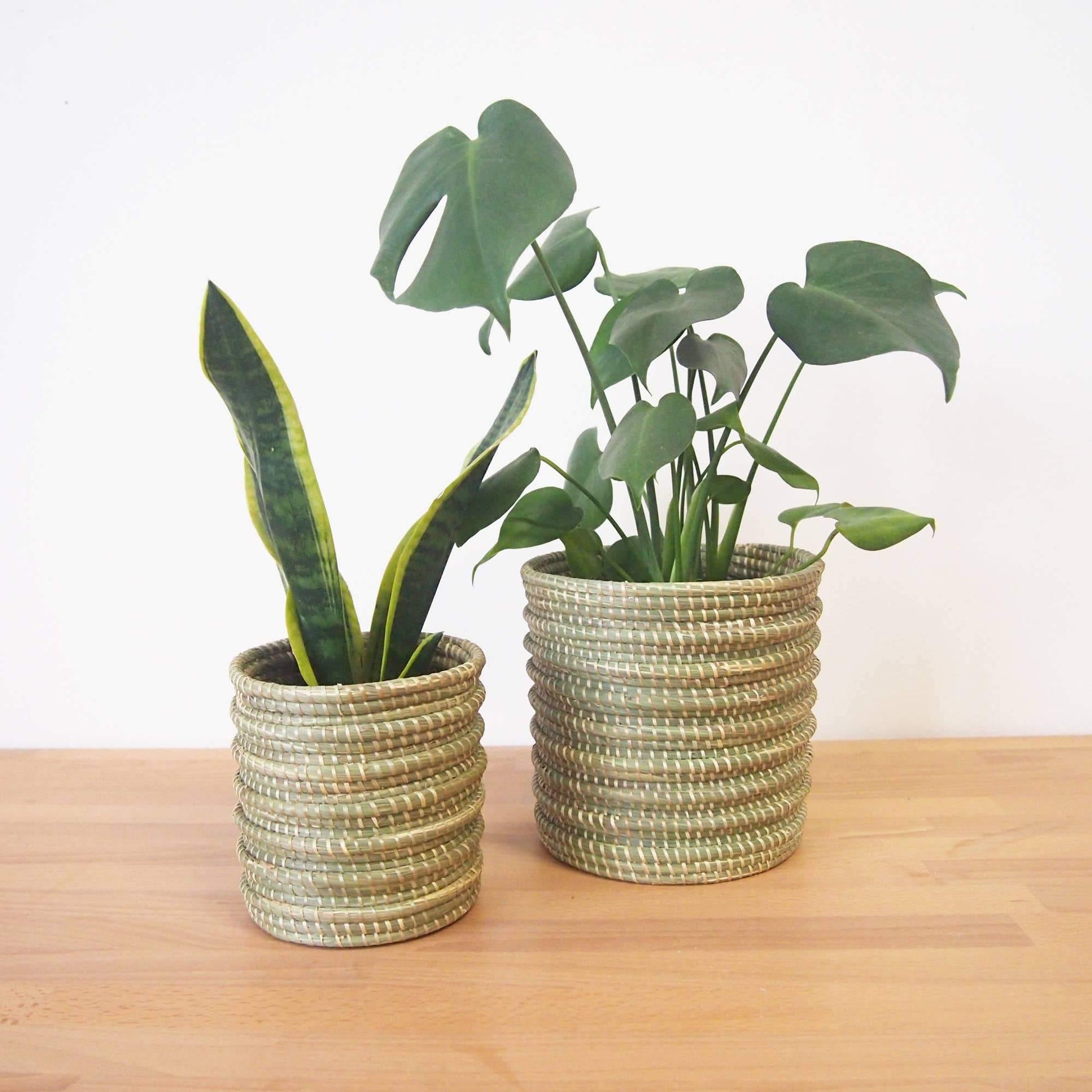 basket planters for indoor plants Decorative Baskets | Planter Basket | Sweetgrass Green