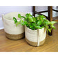 White and Natural Colorblock Planter | Handwoven Decorative Plant Basket| Storage Basket | Seagrass & Jute | 10x10" 11x12" 
